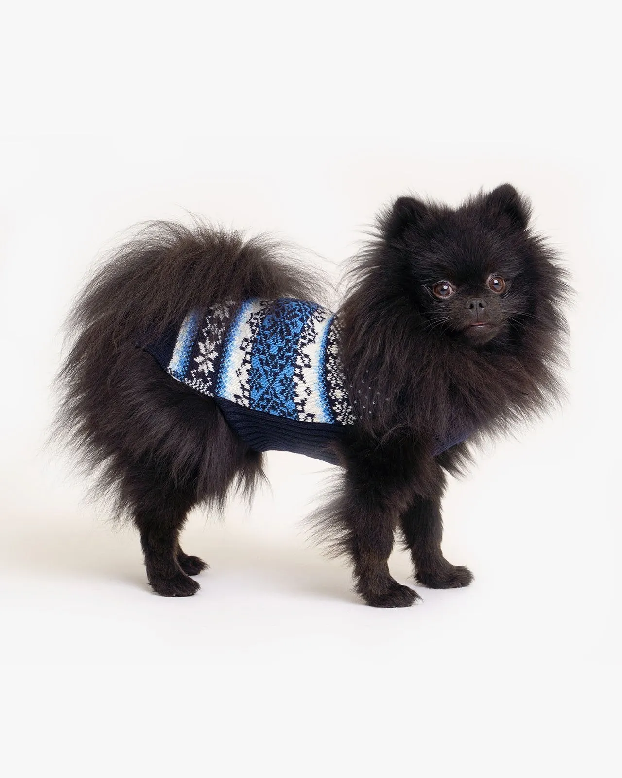 Tori dog sweater