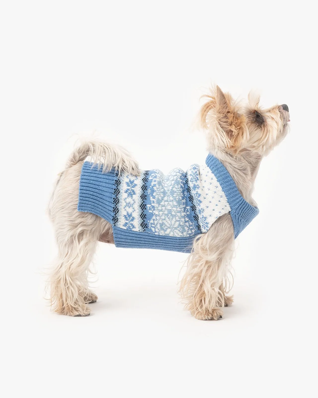 Tori dog sweater