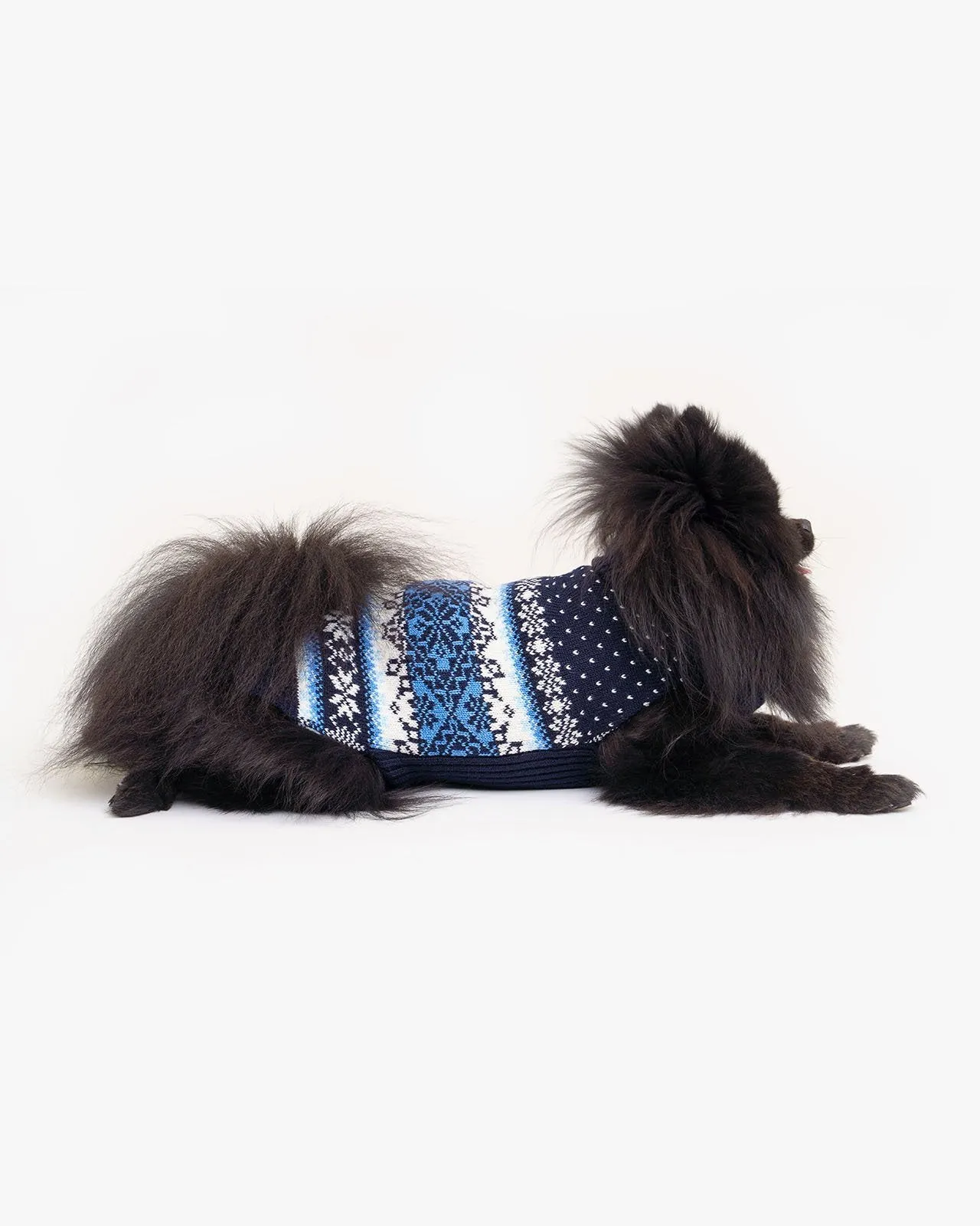 Tori dog sweater