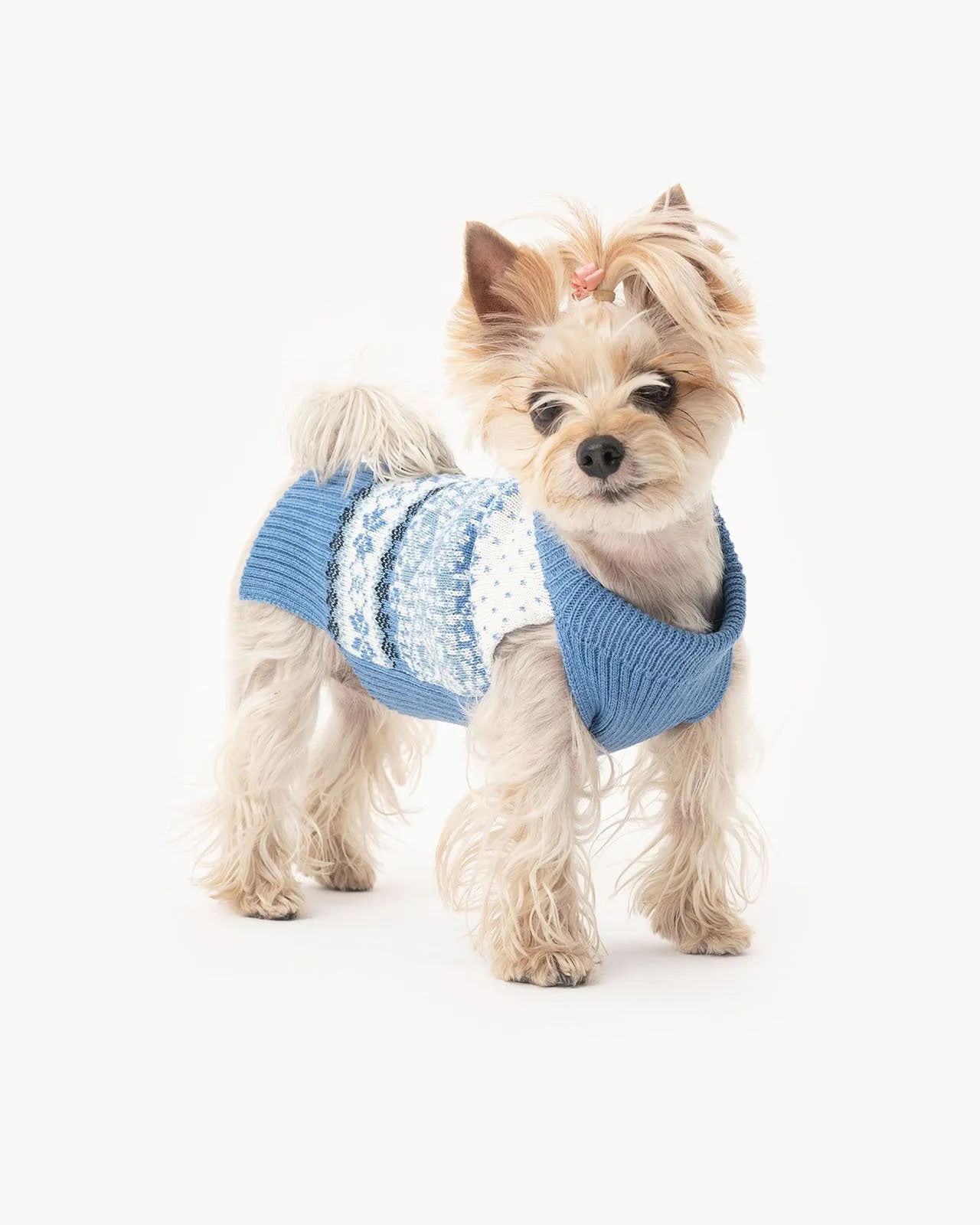 Tori dog sweater